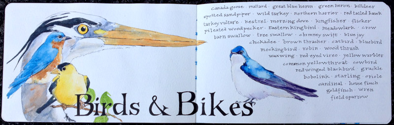 Birds and Bikes