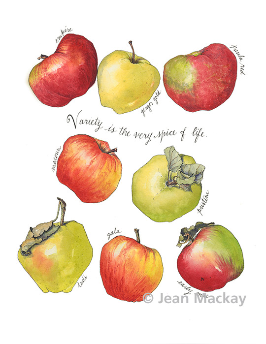 apples