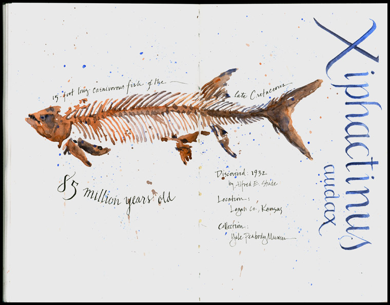 FossilFish_Peabody_750b