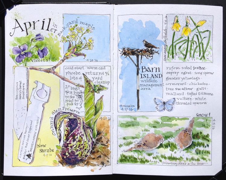 Click to view larger