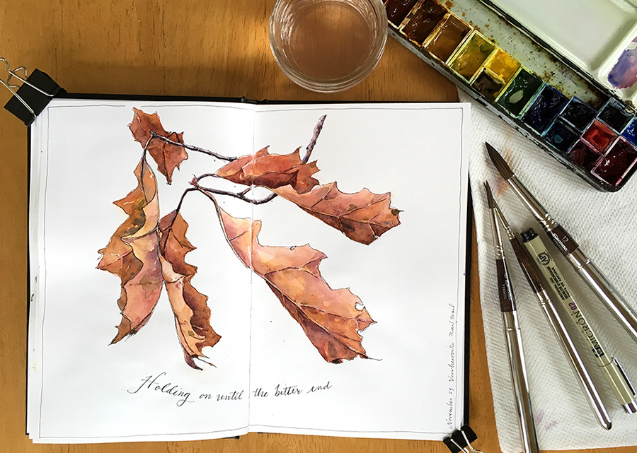 click to view larger