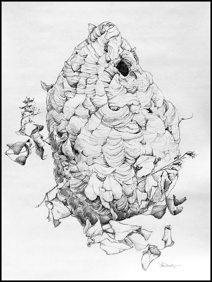 “The Centerpiece,” graphite on Strathmore 400 series drawing paper, 18”x24” (actual nest size 20”x 10”). Click to view larger.