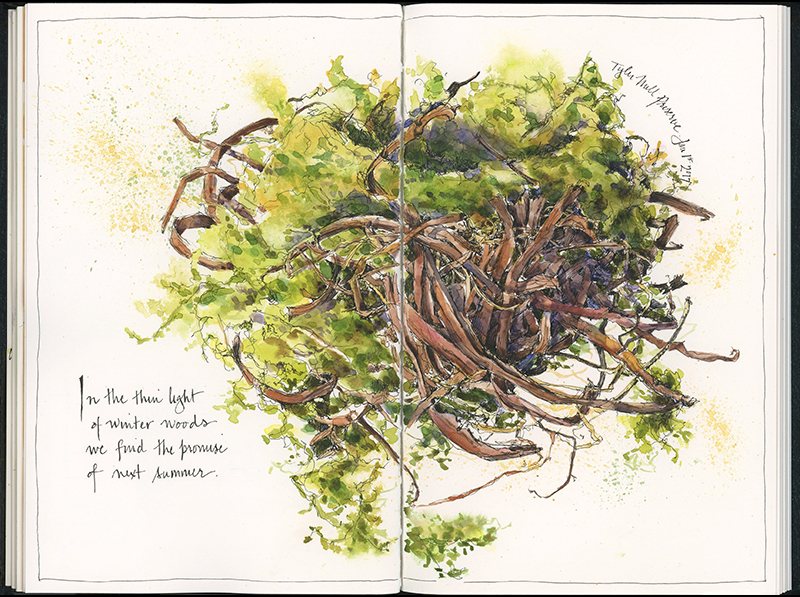 Click to view larger