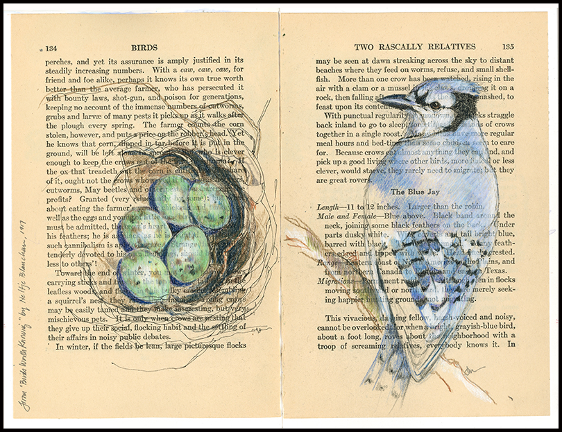 colored pencil; click to view larger