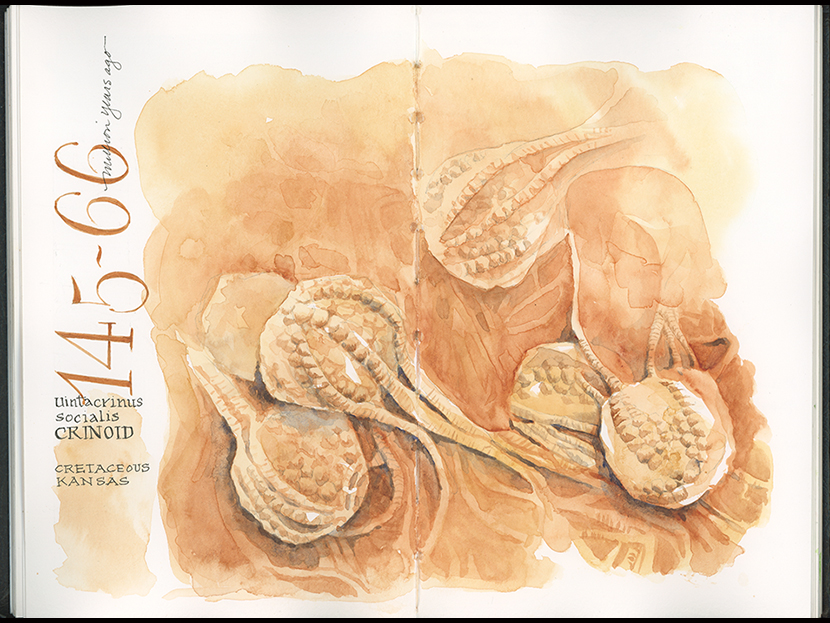 Click to view larger. Watercolor in Stillman & Birn Beta journal